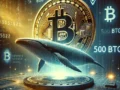 Langkah Mengejutkan: Whale Bitcoin Lama Pindahkan 500 BTC